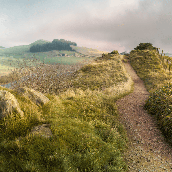 A narrow dirt path winds through grassy hills under a cloudy sky, with distant trees and a hilly landscape in the background. As Matt Fraser walks along the path, he takes in the serene beauty around him, noticing how the gentle slopes frame the horizon. The sense of solitude and connection to nature grows stronger with each step he takes through this picturesque setting.